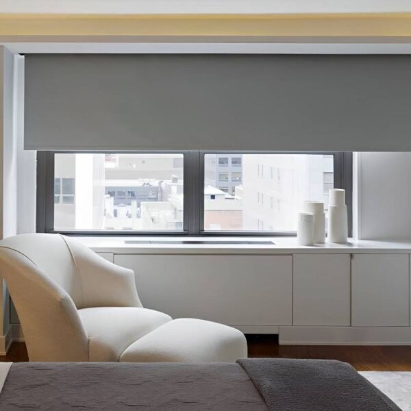 Roller Shades - Image 2