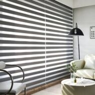 Zebra Blinds