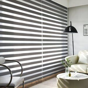 Zebra Blinds